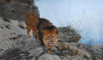 lion 3 Oil Paintings